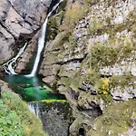 Jeglic C17 博希尼