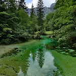 Jeglic C17 公寓 博希尼