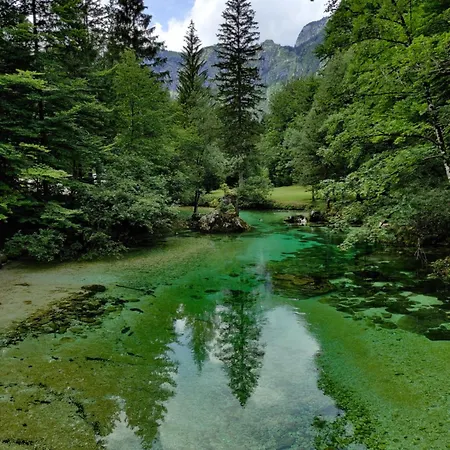 Jeglic C17 Lägenhet Bohinj