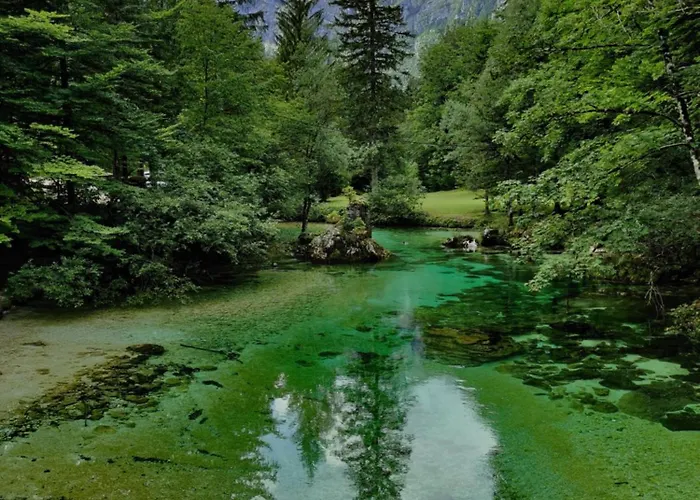 Jeglic C17 Apartma Bohinj